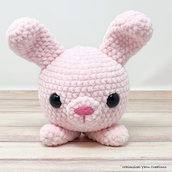 

Bella the Bunny
1