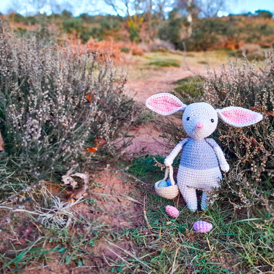 

Alice the Easter Bilby
1