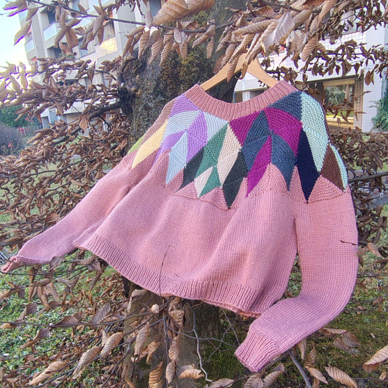 

Intarsia - Sweater
2