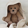 

Teddy and blanket
1