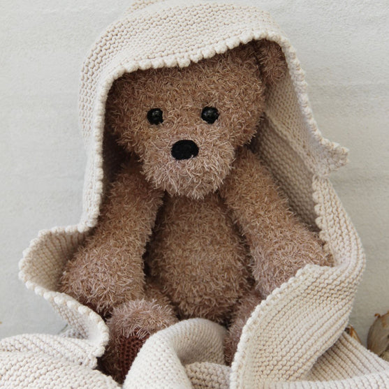 

Teddy and blanket
1