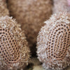 

Teddy with blanket and pillow - Basse
6