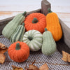 

Courges ornementales - Longues
3