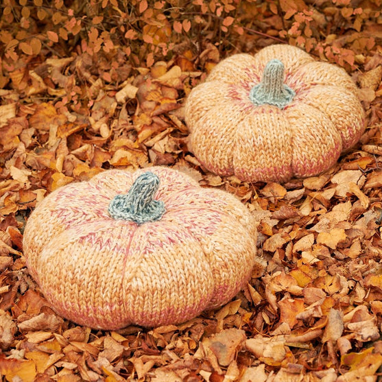 

Giant Pumpkin
1