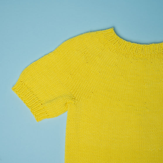 

The Yellow Jersey - Tour de France
2