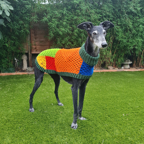 

Wally - Pull pour Chien
1