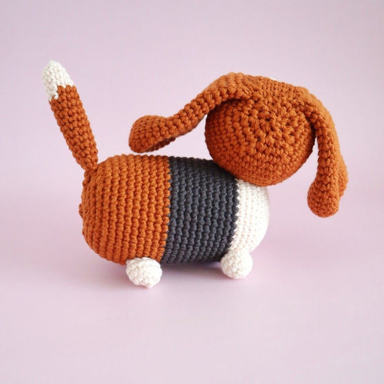 

Gus the Basset Hound
6