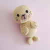 

Sandy the Sea Lion
1
