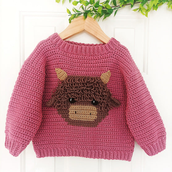 

Highland Cow - Children’s Jumper
1
