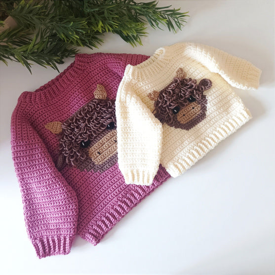 

Highland Cow - Children’s Jumper
5