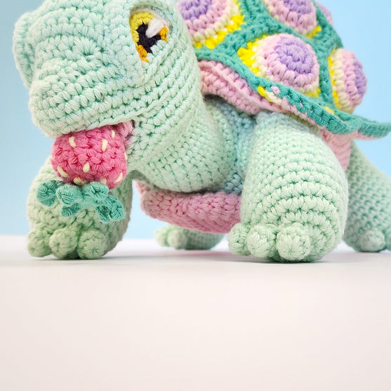 

Astro the Tortoise
2