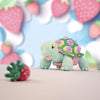 

Astro the Tortoise
4