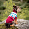 

Yorkshire Terrier - Dog Sweater
3