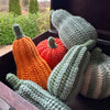 

Decorative Pumpkins - Oblong
7