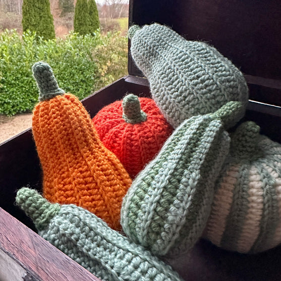 

Decorative Pumpkins - Oblong
7
