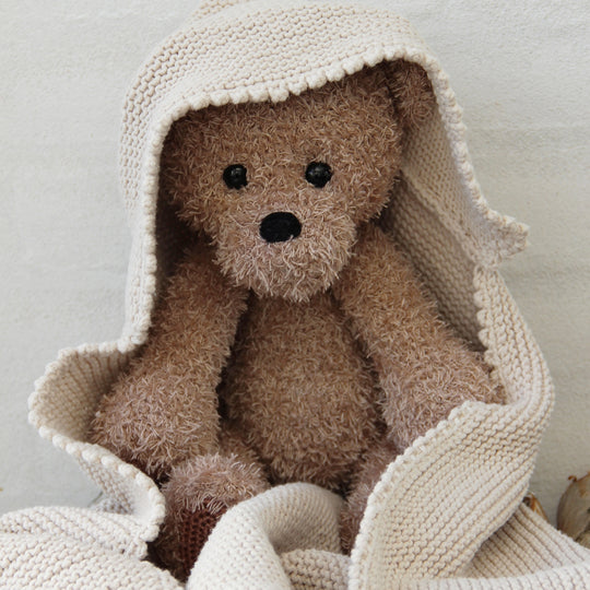 Teddy and blanket