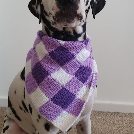Summer Picnic - Foulard pour Chien