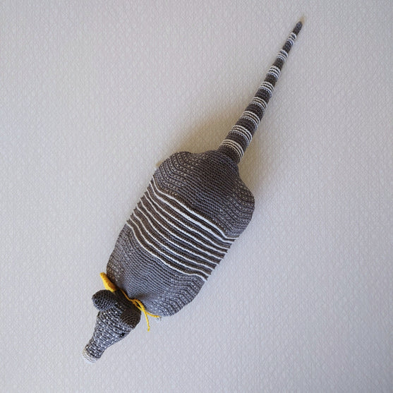 

Arnie The Armadillo
3