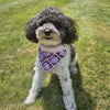 

Millie’s - Dog bandana
1