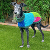 

Wally - Pull pour Chien
3