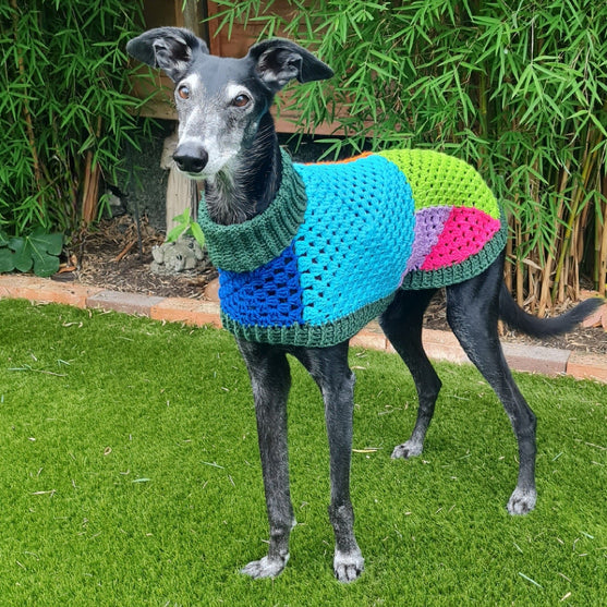 

Wally - Dog Jumper
3