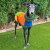 

Wally - Pull pour Chien
2