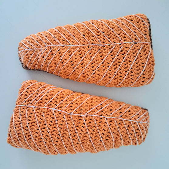 

Saumon rôti au four
2