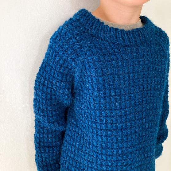 

Snowdrop – Sweater Junior
3