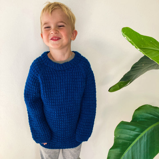 

Snowdrop – Sweater Junior
1