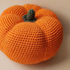 

Pumpkin - Play Food
3