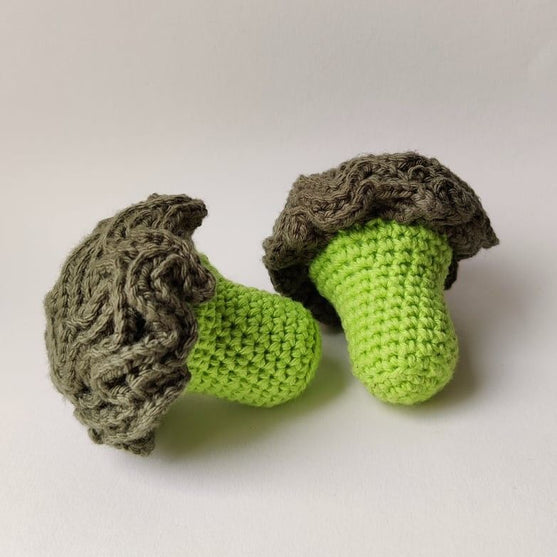 

Broccoli - Play Food
1