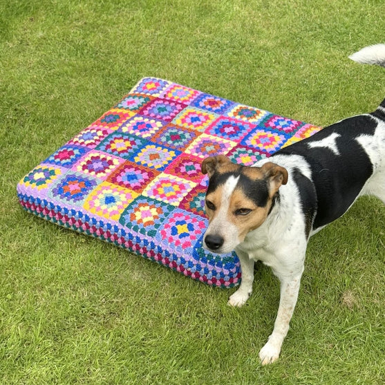 

Kafka’s Dog Bed
3
