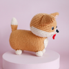 

Cooper de Corgi
2