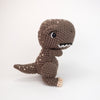 

Troy the T-Rex
1