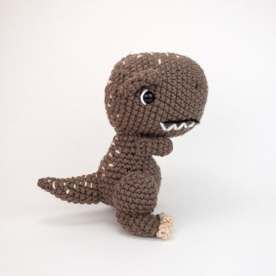 

Troy the T-Rex
1