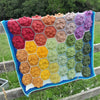 

Hexagon Flowers - Blanket
1
