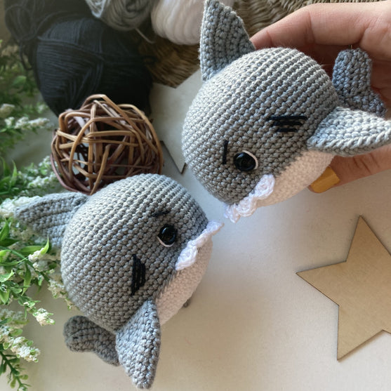 

Tommy the little shark
5