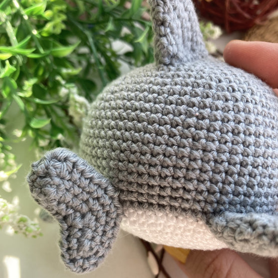 

Tommy the little shark
4
