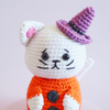 

Luna the Halloween Cat
6