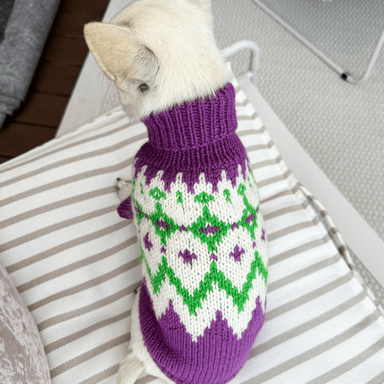 

Chihuahua - Dog Sweater
2