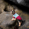 

Yorkshire Terrier - Dog Sweater
2