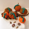 

Bumpy Pumpkin
1