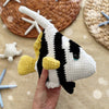 

Tropical Fish
2