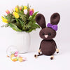 

Easter Bunny Flora - Large
1