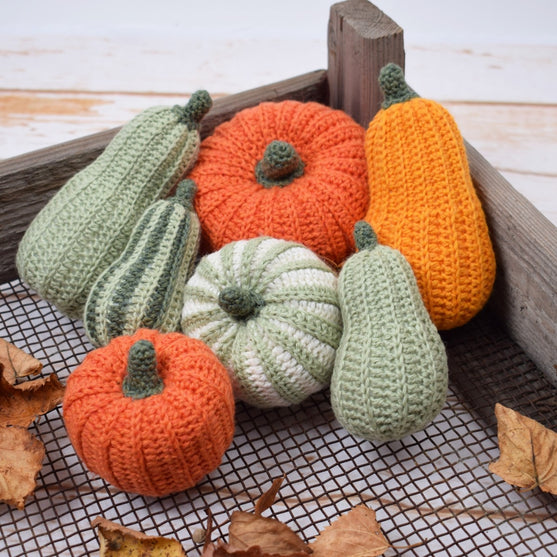 

Decorative Pumpkins - Oblong
9