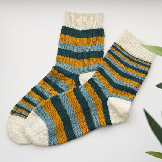 Mimidae - Socks