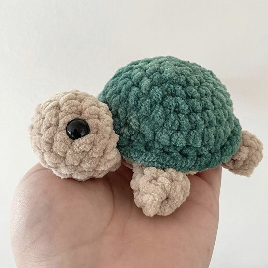 Baby Turtle