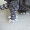 

Arnie The Armadillo
6