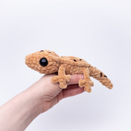 Gavin the Gecko