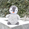 

Pippo the Penguin
1
